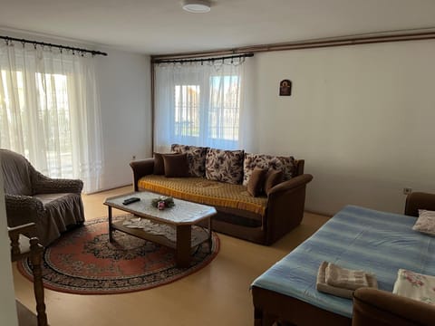 Smestaj Miki Apartment in Serbia