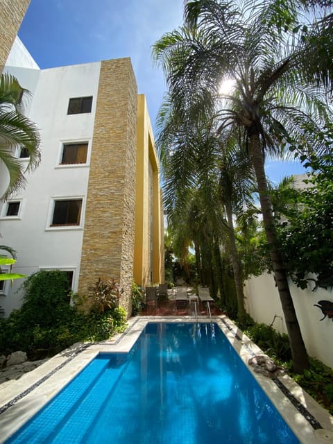 Pool view, Swimming pool
