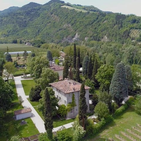 Natural landscape, Bird's eye view, Garden, Hiking, Cycling, On site, Landmark view, Mountain view, Entertainment