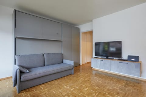 Bed, TV and multimedia, Living room, Seating area, locker, wardrobe