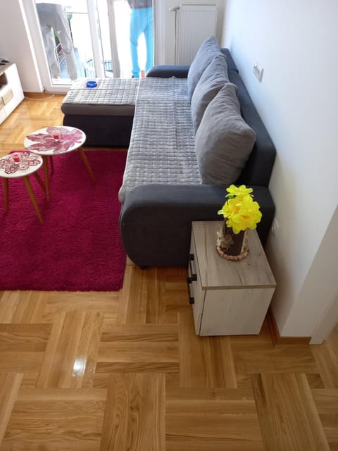 Leonora & Free Parking Apartment in Serbia