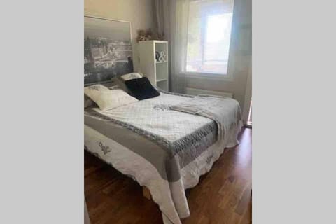 Luxus house with Sauna Nearby Airport Apartment in Uusimaa