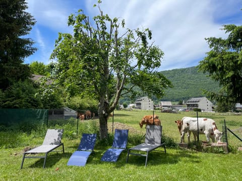 La Petite Jeannette Apartment in Lans-en-Vercors