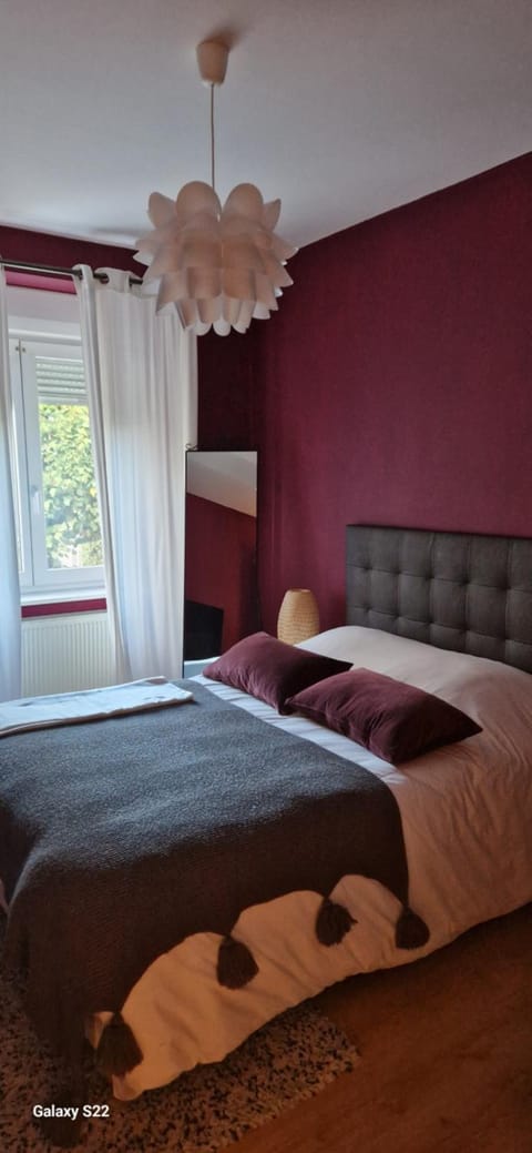 Cosy Appartement Complet centre-ville Montbéliard Apartment in Montbéliard