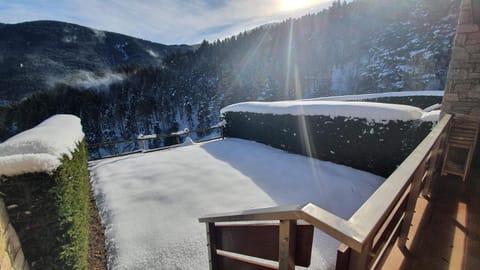 Natural landscape, Winter, Garden, Mountain view