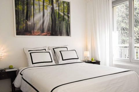 West Side - Full river view - Spacious - de Luxe Apartment in Lyon