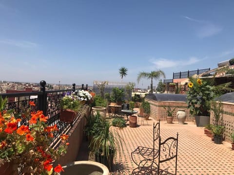 Patio, Day, Natural landscape