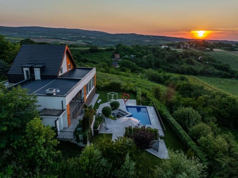 Riverside pool villa-Sremski Karlovci Villa in Vojvodina