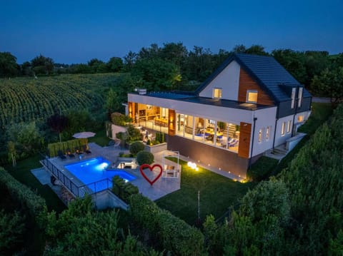 Riverside pool villa-Sremski Karlovci Villa in Vojvodina