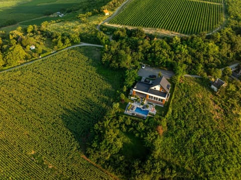 Riverside pool villa-Sremski Karlovci Villa in Vojvodina