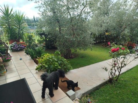 B&B Villa Maria Paola - Alloggi Temporanei Isernia Bed and Breakfast in Isernia