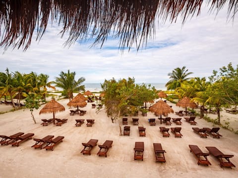 Beach, Beach