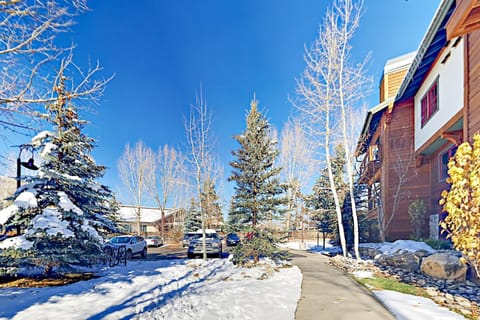 The Pines 206 Apartment in Steamboat Springs