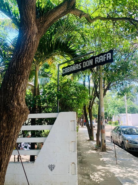 Day, Natural landscape, Street view