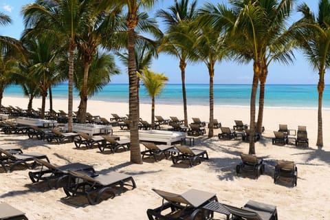 Beach, Sea view, sunbed