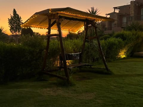 Garden, Garden view, Sunset