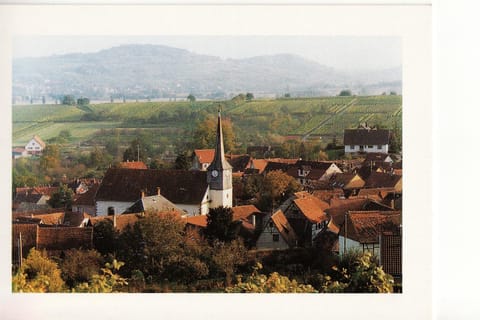 City view