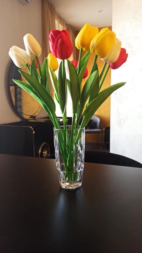 Apartmani President V Apartment in Federation of Bosnia and Herzegovina