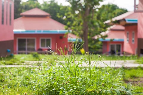 Spring, Day, Garden, Other, On site, Garden view