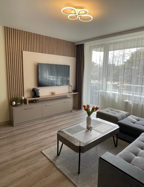 Alintoma Holiday apartment Apartment in Palanga