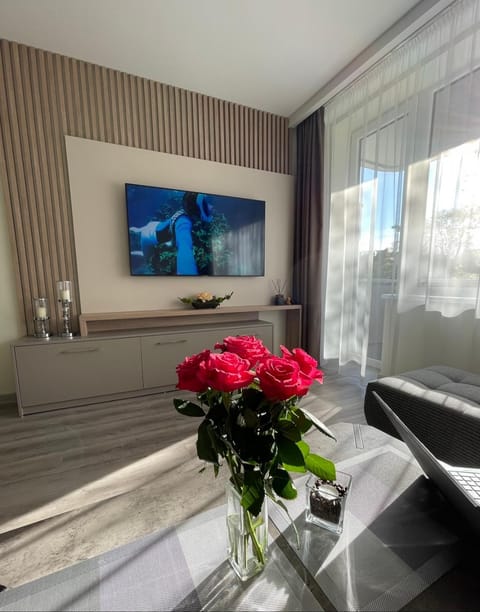 Alintoma Holiday apartment Apartment in Palanga