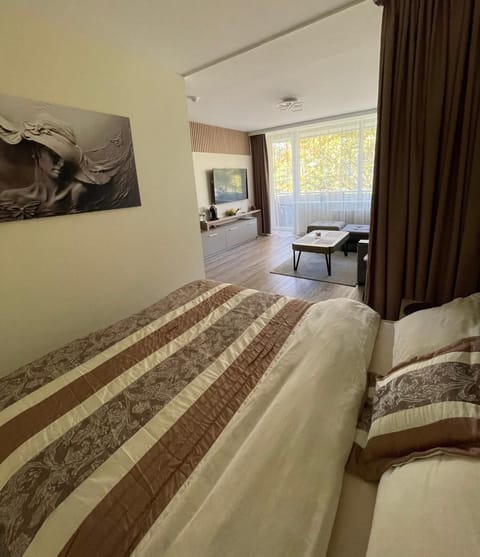 Alintoma Holiday apartment Apartment in Palanga