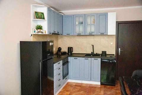 Kitchen or kitchenette, dishwasher, oven