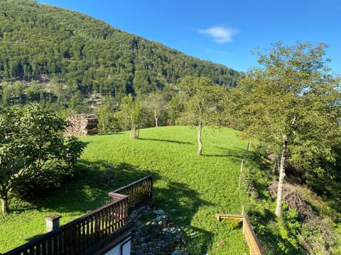 Natural landscape, Garden, Garden view