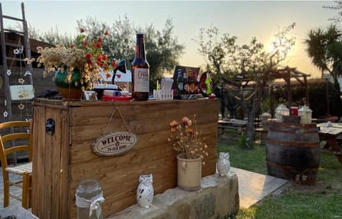 Drinks, Alcoholic drinks