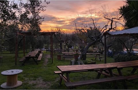 Children play ground, Garden, Sunset