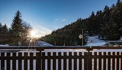 Bel appartement 3 pièces au pied des pistes de ski Apartment in Crans-Montana