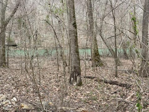 No Wake Zone Chalet in Tennessee