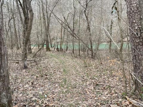 No Wake Zone Chalet in Tennessee