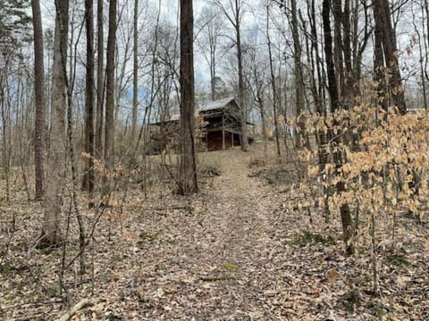 No Wake Zone Chalet in Tennessee