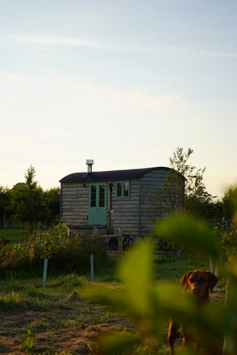 Four Acres Farm Campground/ 
RV Resort in Northern Ireland