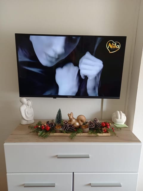 Apartman Central Apartment in Vojvodina