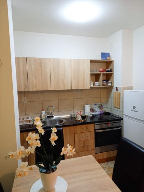 Apartman Central Apartment in Vojvodina