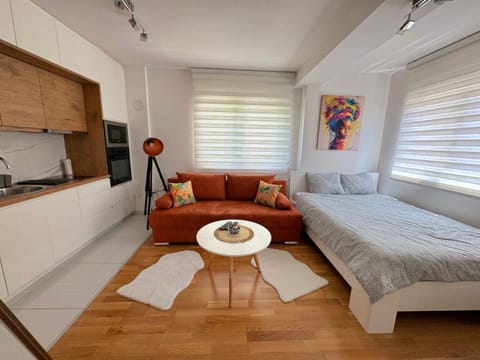 Bed, Kitchen or kitchenette, Living room, Photo of the whole room, Seating area, Bedroom