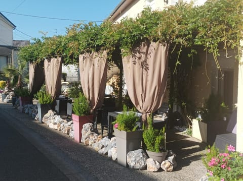 Spring, Garden, Garden view