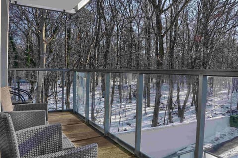 Patio, Day, Natural landscape, Winter, View (from property/room), Balcony/Terrace