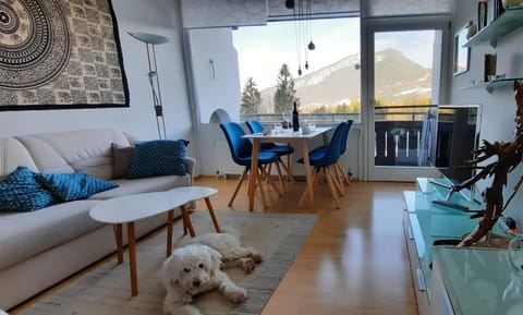 Seating area, Dining area, Pets, Mountain view