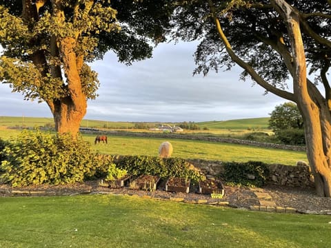 Galloway Farmstay Claunch House in England