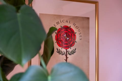 House of Alchemy - Albedo - San Luca Apartment in Bologna