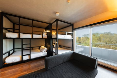 Bed, Photo of the whole room, Bedroom, bunk bed