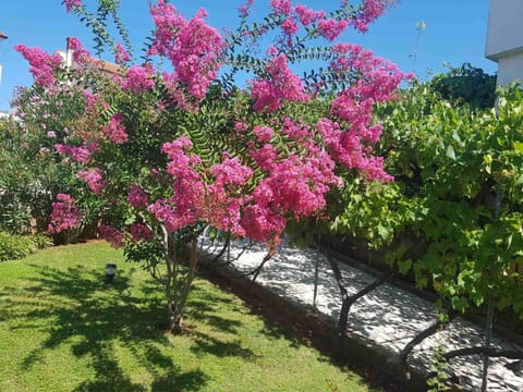 Garden, Garden view