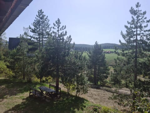 Apartman pogled Zlatibor Apartment in Zlatibor