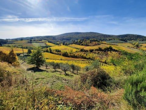 Natural landscape