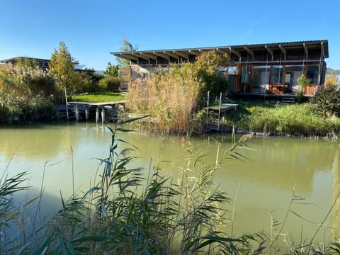 Lake view