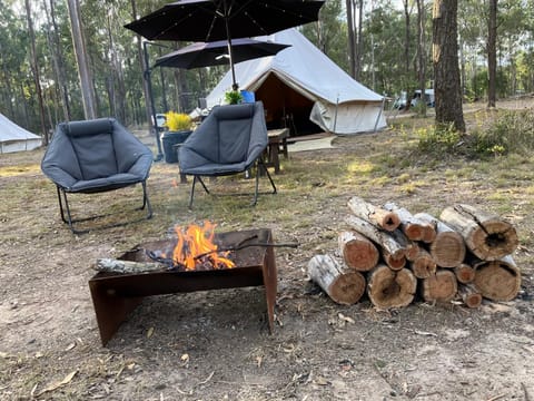 Seating area, Dining area, fireplace