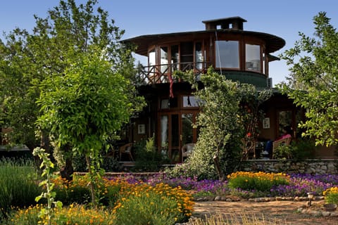 Property building, Garden